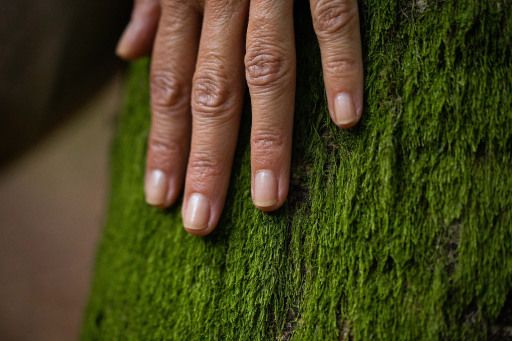 Vorschau Bild zu OTM