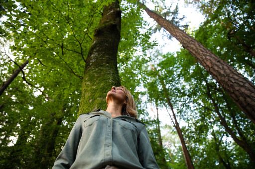 Vorschau Bild zu OTM