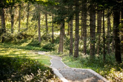 Vorschau Bild zu OTM