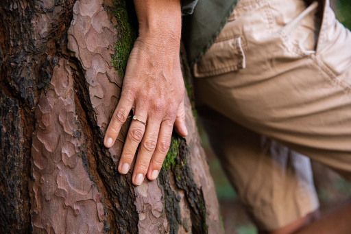 Vorschau Bild zu OTM