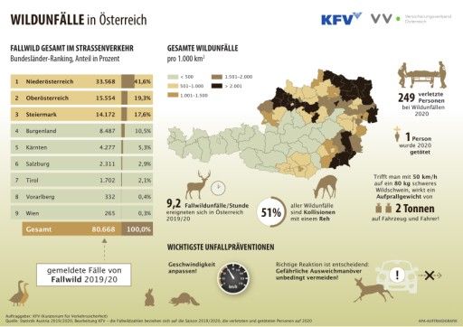 Vorschau Bild zu PDF
