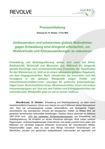Vorschau Bild zu PDF