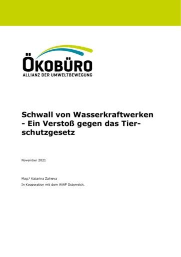 Vorschau Bild zu PDF