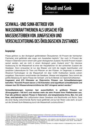 Vorschau Bild zu PDF