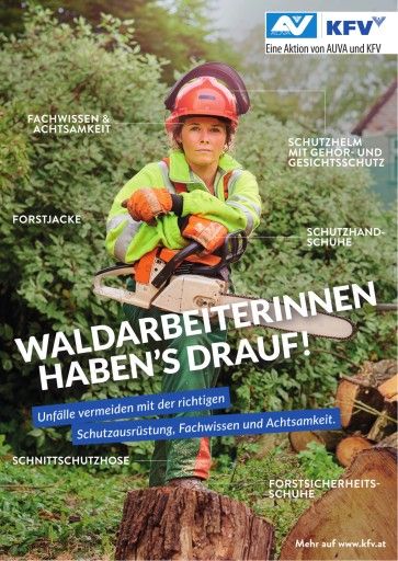Vorschau Bild zu PDF