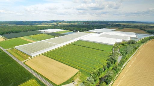 Vorschau Bild zu OTM