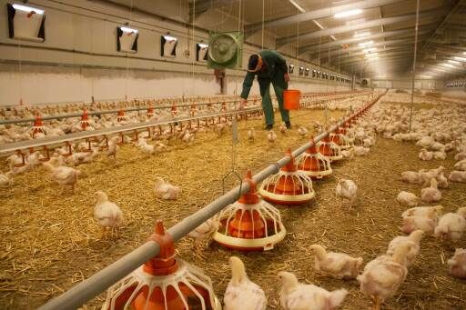 Vorschau Bild zu OTM