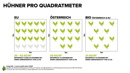 Vorschau Bild zu OTM