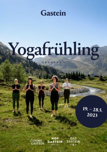 Vorschau Bild zu PDF