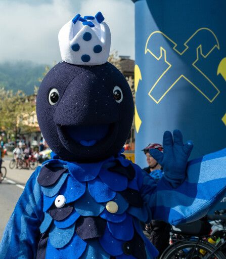 Vorschau Bild zu OTM