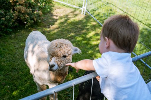 Vorschau Bild zu OTM