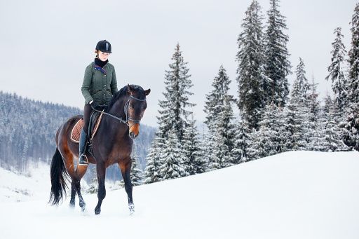 Vorschau Bild zu OTM