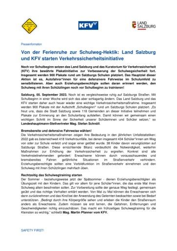 Vorschau Bild zu PDF