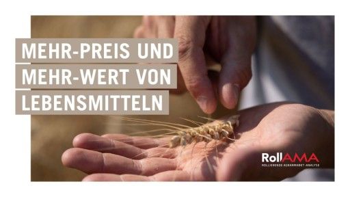 Vorschau Bild zu PDF