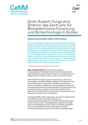 Vorschau Bild zu PDF