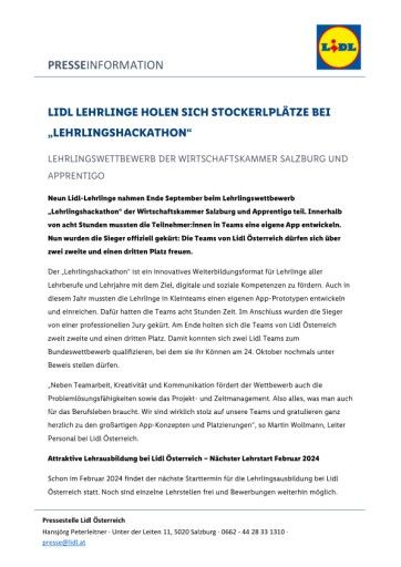 Vorschau Bild zu PDF