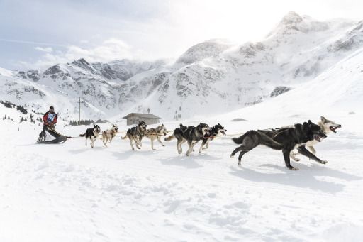 Vorschau Bild zu OTM