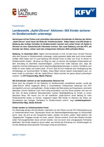 Vorschau Bild zu PDF