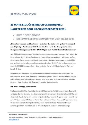 Vorschau Bild zu PDF