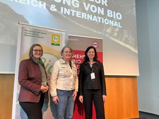 Vorschau Bild zu OTM