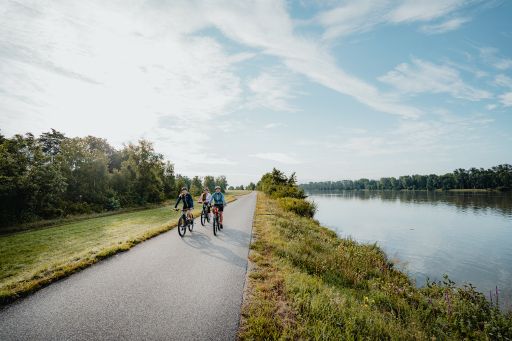 Vorschau Bild zu OTM