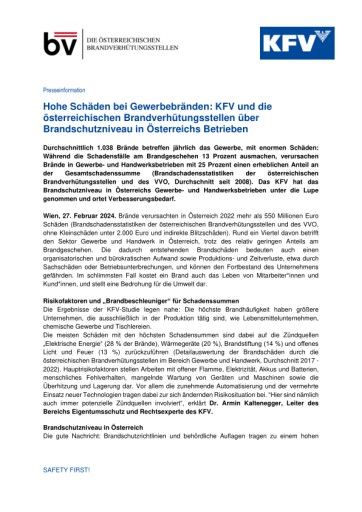 Vorschau Bild zu PDF