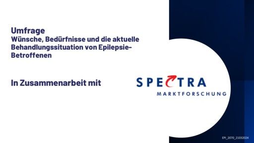 Vorschau Bild zu PDF