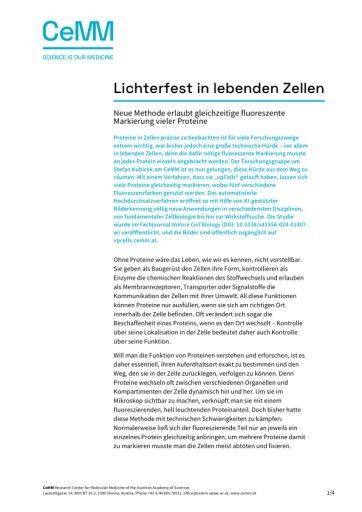 Vorschau Bild zu PDF