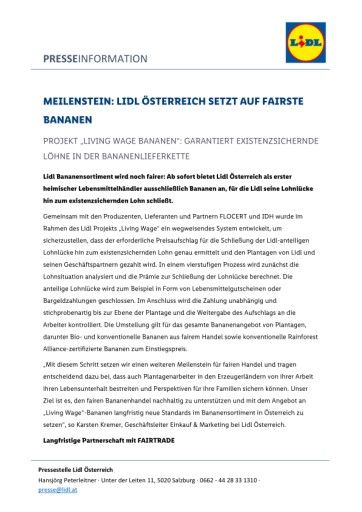 Vorschau Bild zu PDF