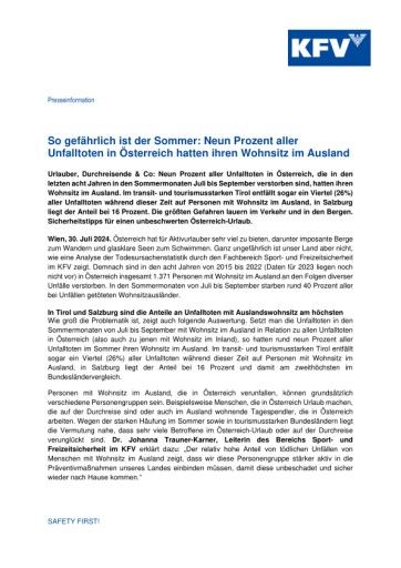 Vorschau Bild zu PDF