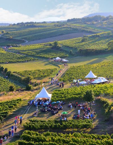 Vorschau Bild zu OTM