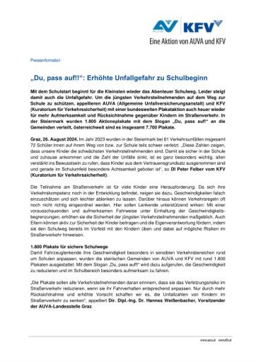 Vorschau Bild zu PDF