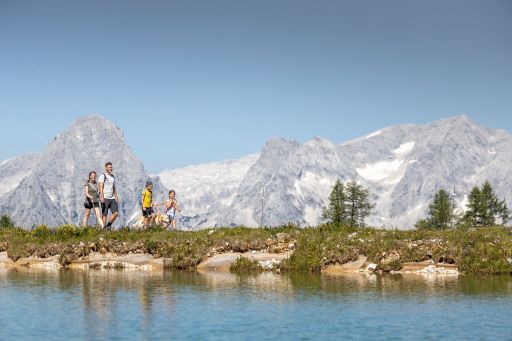 Vorschau Bild zu OTM