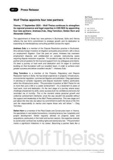 Vorschau Bild zu PDF