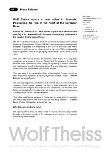 Vorschau Bild zu PDF