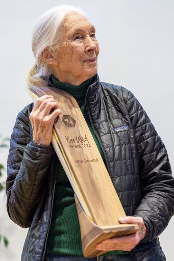 Vorschau Bild zu OTM