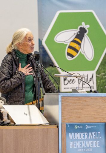 Vorschau Bild zu OTM