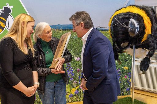 Vorschau Bild zu OTM