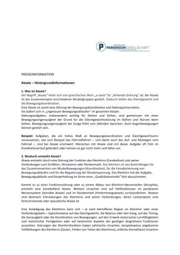Vorschau Bild zu PDF