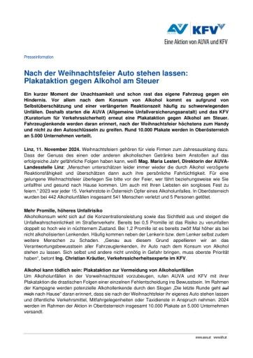 Vorschau Bild zu PDF