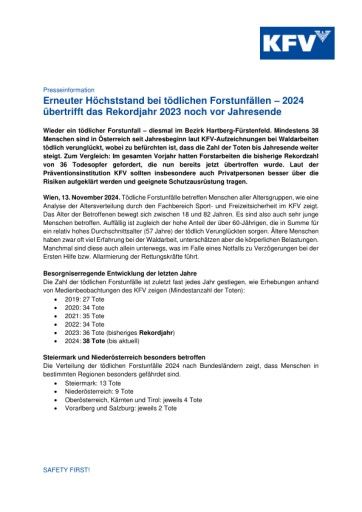 Vorschau Bild zu PDF