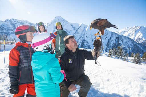 Vorschau Bild zu OTM