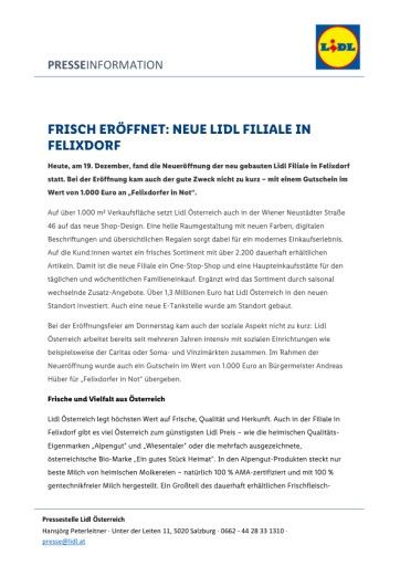 Vorschau Bild zu PDF