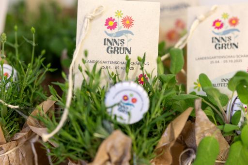 Vorschau Bild zu OTM