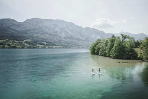 Vorschau Bild zu OTM