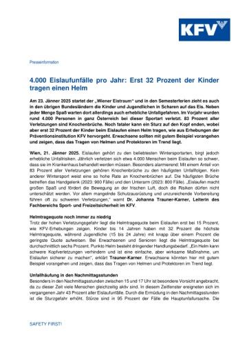 Vorschau Bild zu PDF