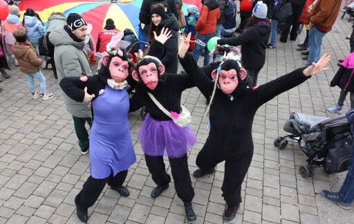 Vorschau Bild zu OTM