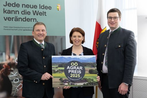 Vorschau Bild zu OTM