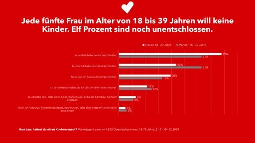 Vorschau Bild zu PDF