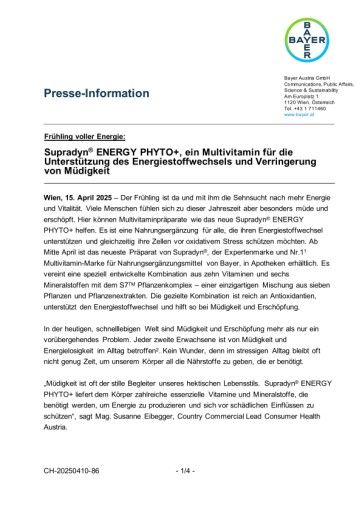 Vorschau Bild zu PDF